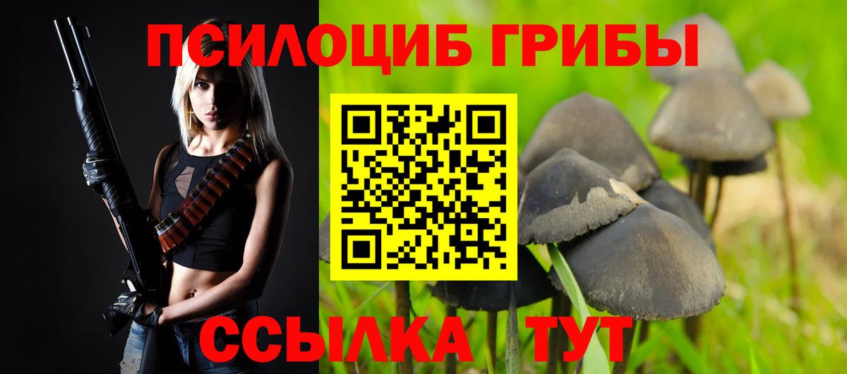 Галлюциногенные грибы Psilocybe Самара